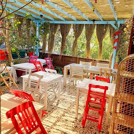 Pervin Hanim Konagi *